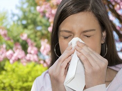 Почему аллергия становится эпидемией?